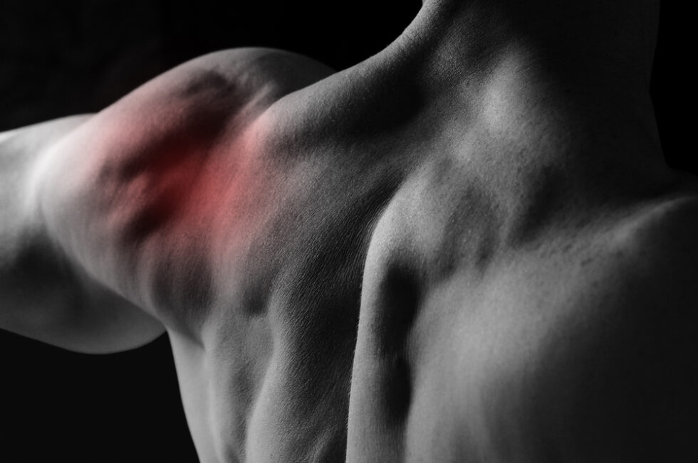 Common Causes of Shoulder Pain Nebraska Orthopaedic Center