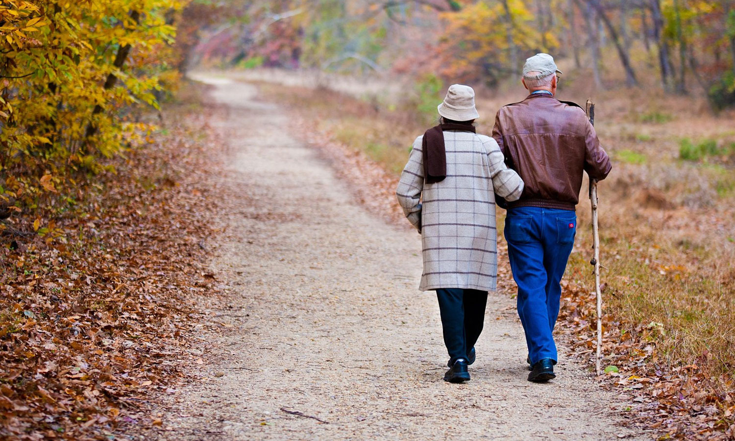 Elderly couple walking on a trail during fall